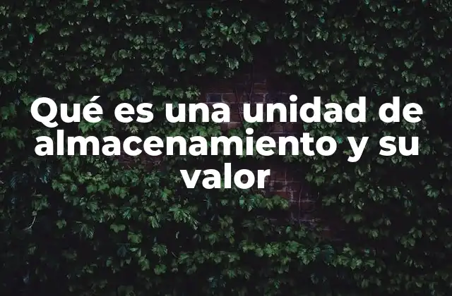 Qué es una Unidad de Almacenamiento y Su Valor
