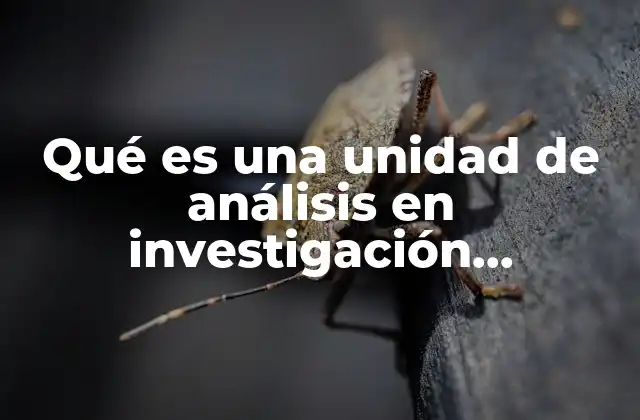 Qué es una Unidad de Análisis en Investigación Cualitativa