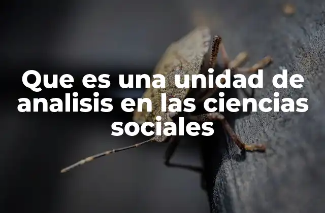 Que es una Unidad de Analisis en las Ciencias Sociales