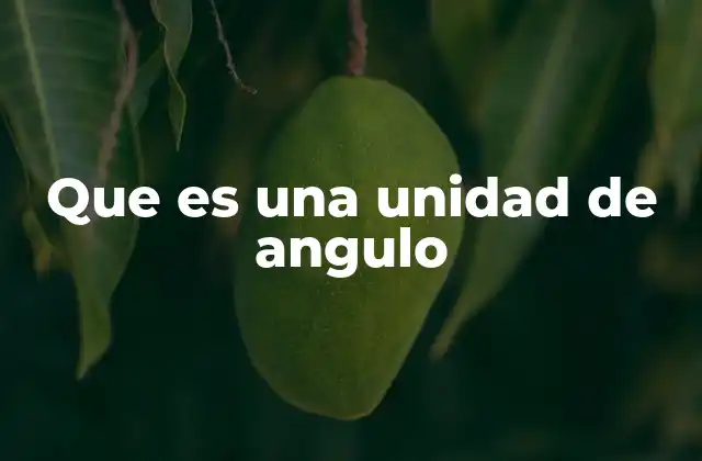 Que es una Unidad de Angulo