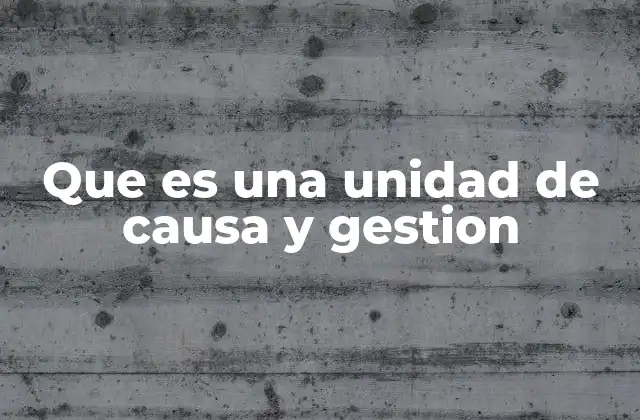 Que es una Unidad de Causa y Gestion