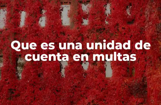 Que es una Unidad de Cuenta en Multas