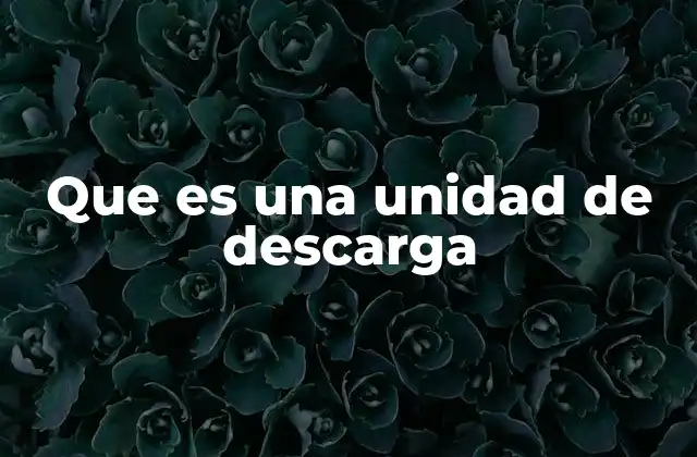 Que es una Unidad de Descarga