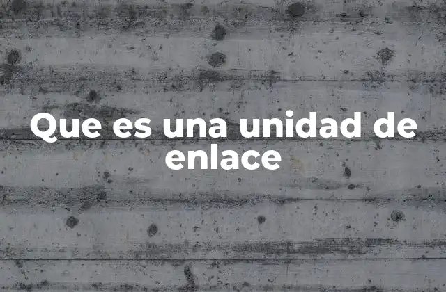 Que es una Unidad de Enlace