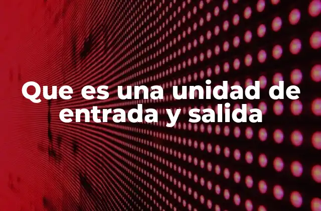 Que es una Unidad de Entrada y Salida