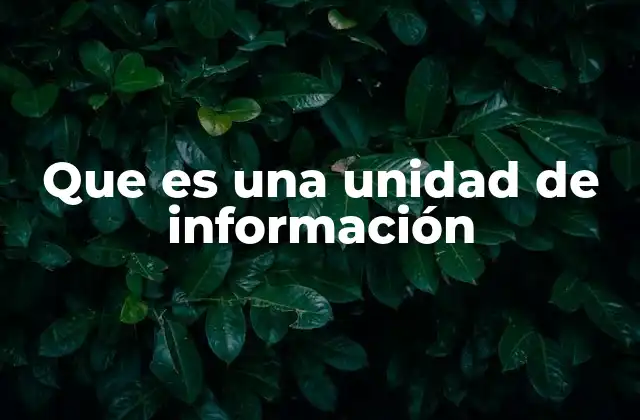Que es una Unidad de Información