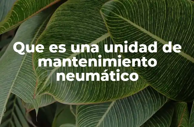 Que es una Unidad de Mantenimiento Neumático