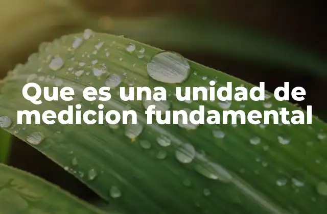 Que es una Unidad de Medicion Fundamental