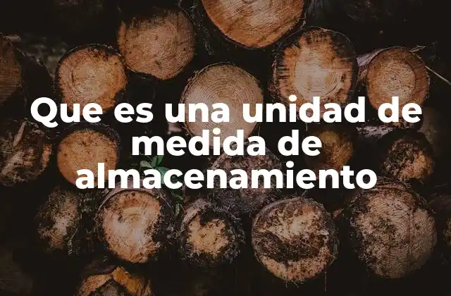 Que es una Unidad de Medida de Almacenamiento