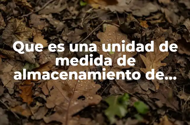 Que es una Unidad de Medida de Almacenamiento de Datos