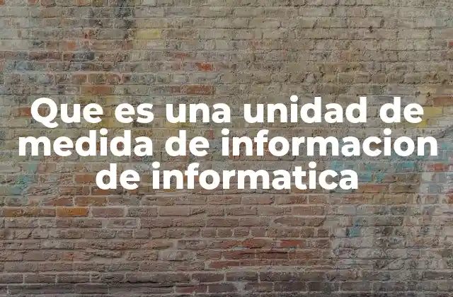 Que es una Unidad de Medida de Informacion de Informatica