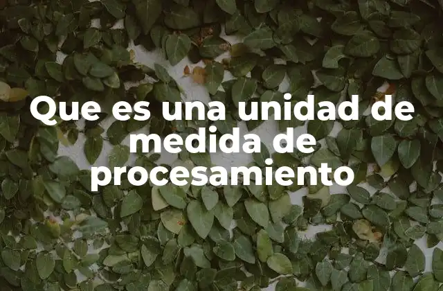 Que es una Unidad de Medida de Procesamiento 2 El papel de las unidades de medida en la arquitectura informática