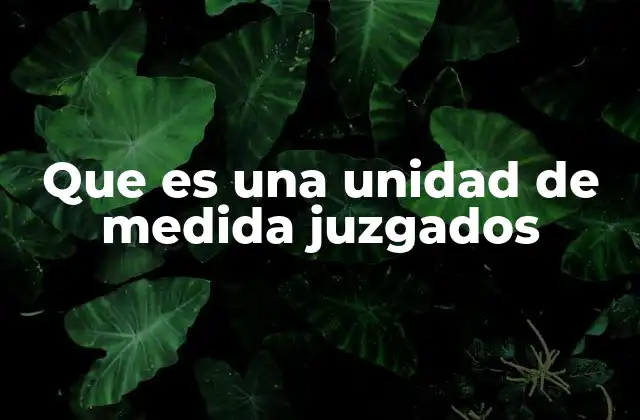 Que es una Unidad de Medida Juzgados