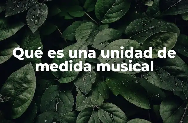 Qué es una Unidad de Medida Musical