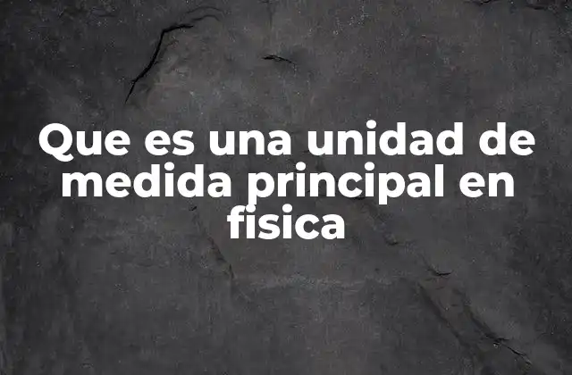 Que es una Unidad de Medida Principal en Fisica