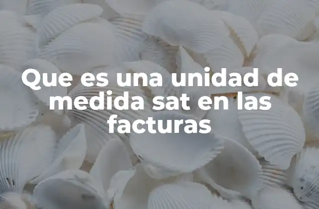 Que es una Unidad de Medida Sat en las Facturas
