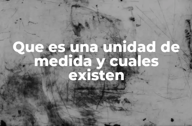 Que es una Unidad de Medida y Cuales Existen