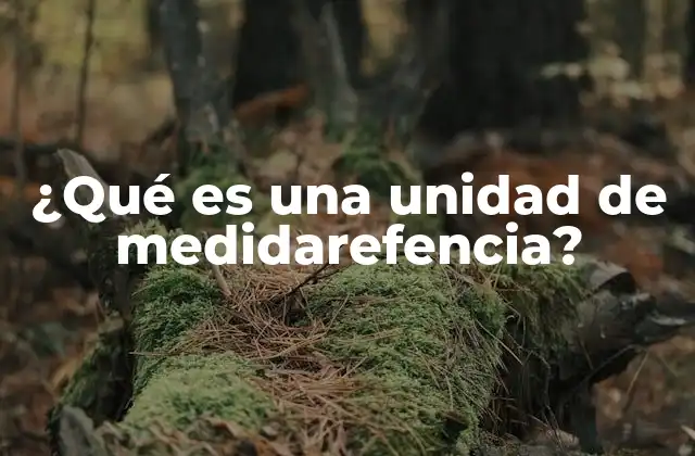 ¿qué es una Unidad de Medidarefencia?