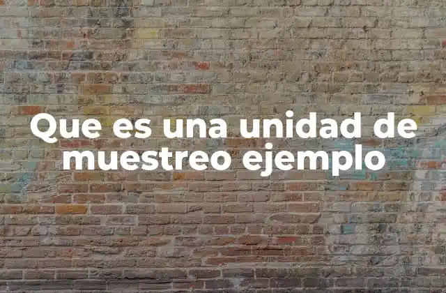 Diferencias entre unidad de muestreo y unidad de análisis