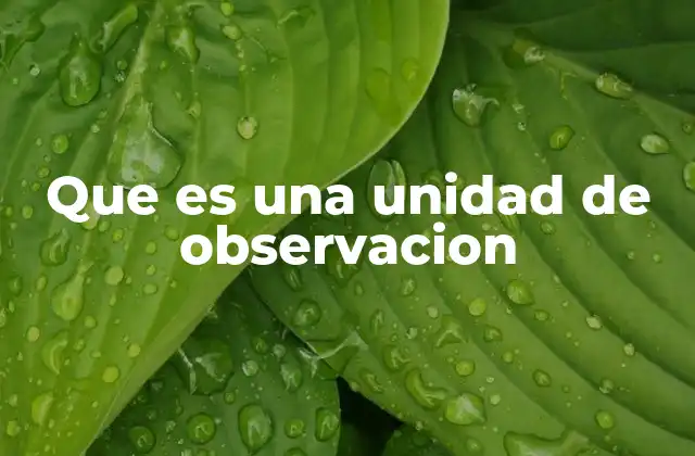 Que es una Unidad de Observacion