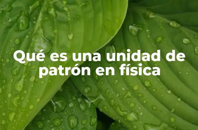 Qué es una Unidad de Patrón en Física