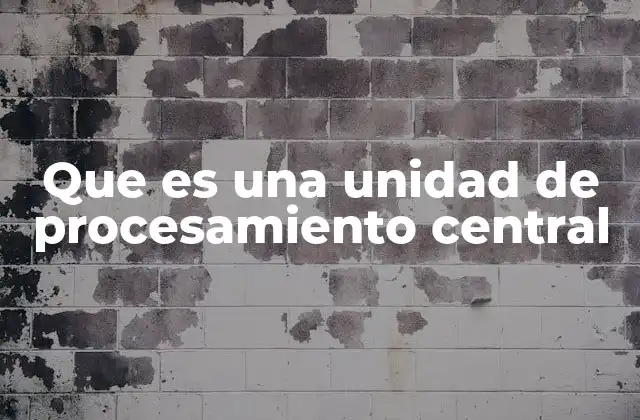 Que es una Unidad de Procesamiento Central