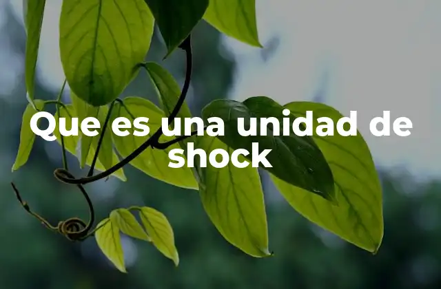 Que es una Unidad de Shock