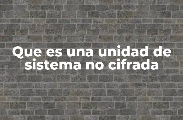 Que es una Unidad de Sistema No Cifrada