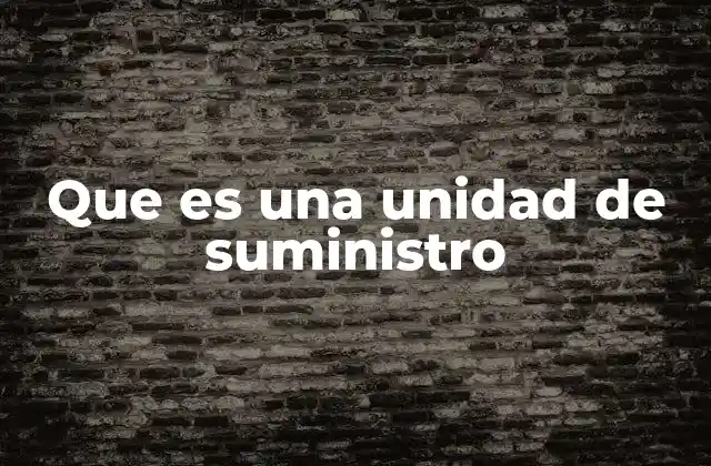 Que es una Unidad de Suministro