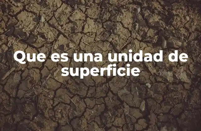 Que es una Unidad de Superficie