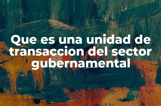 Que es una Unidad de Transaccion Del Sector Gubernamental