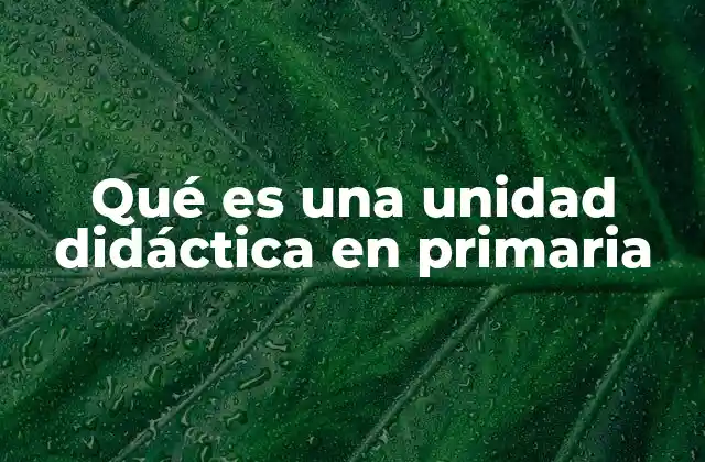 Qué es una Unidad Didáctica en Primaria