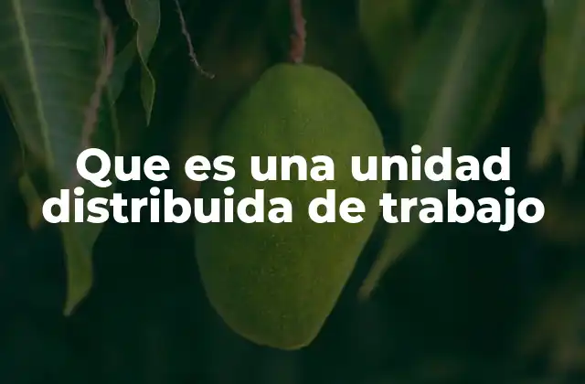 Que es una Unidad Distribuida de Trabajo