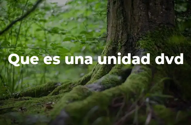 Que es una Unidad Dvd