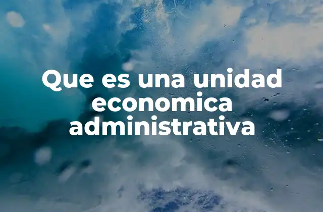 Que es una Unidad Economica Administrativa