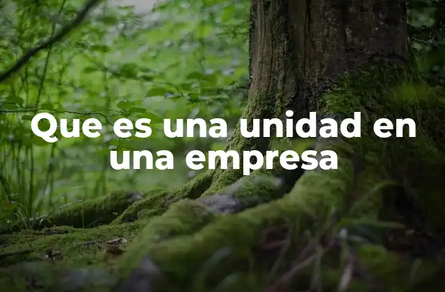 Que es una Unidad en una Empresa