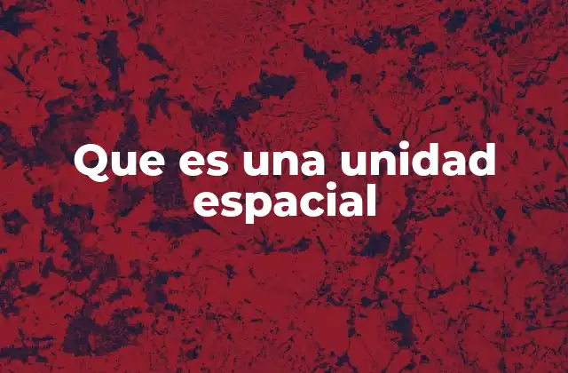 Que es una Unidad Espacial