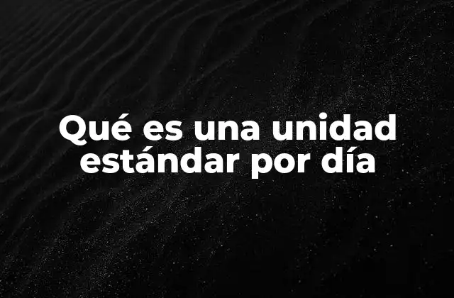 Qué es una Unidad Estándar por Día