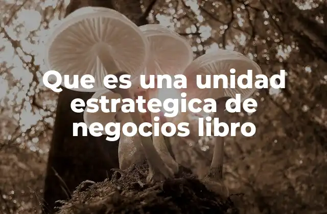 Que es una Unidad Estrategica de Negocios Libro