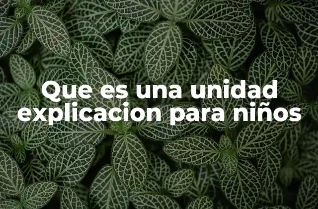 Que es una Unidad Explicacion para Niños