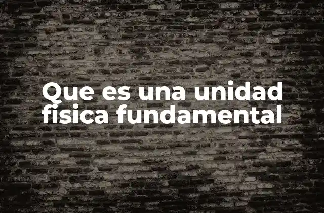 Que es una Unidad Fisica Fundamental