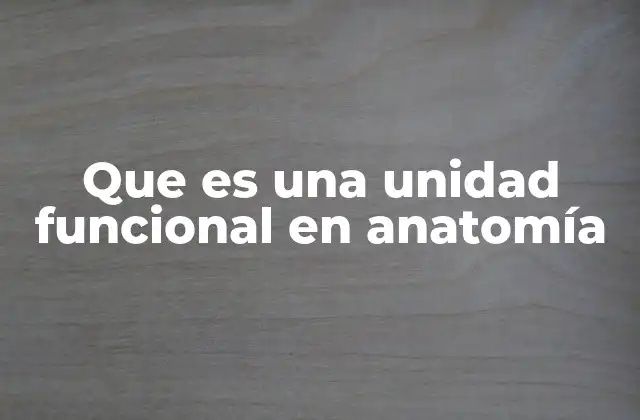 Que es una Unidad Funcional en Anatomía