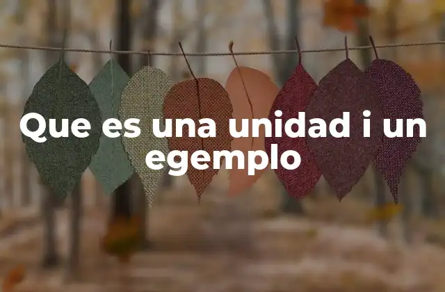 Que es una Unidad I un Egemplo