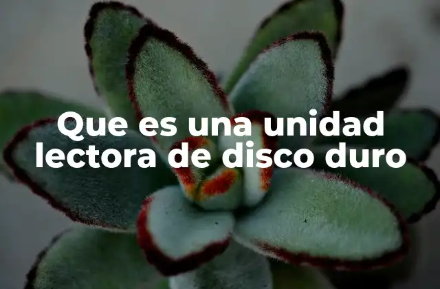Que es una Unidad Lectora de Disco Duro