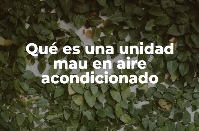 Qué es una Unidad Mau en Aire Acondicionado