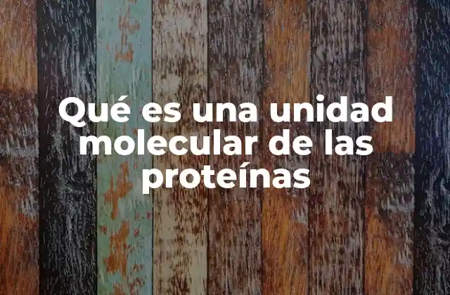 Qué es una Unidad Molecular de las Proteínas