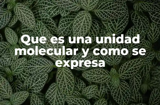 Que es una Unidad Molecular y como Se Expresa