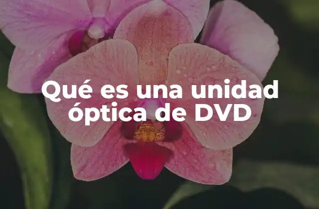 Qué es una Unidad Óptica de Dvd
