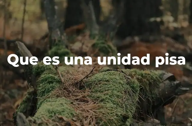 Que es una Unidad Pisa