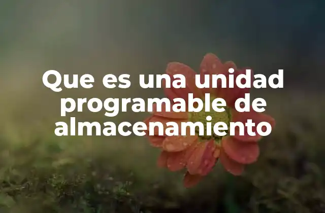 Que es una Unidad Programable de Almacenamiento 2 La evolución de las unidades programables en la informática